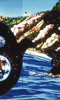 t12